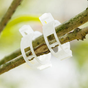 🔥72% OFF🌱Plant Support Clips