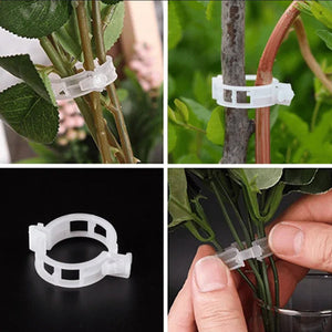 🔥72% OFF🌱Plant Support Clips