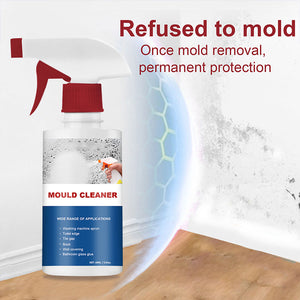 Mildew Remover Foam